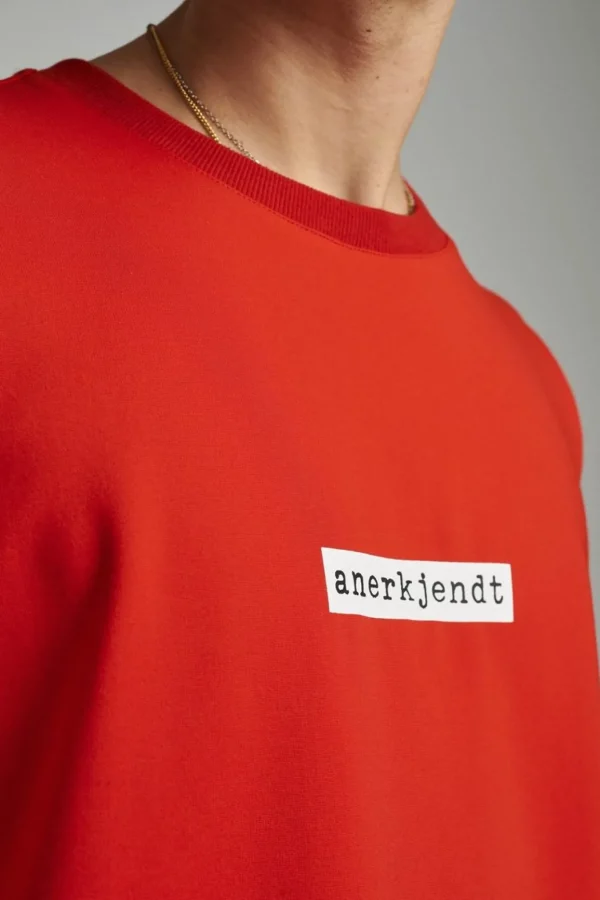 Mand Anerkjendt Akarne Sweat W/Logo - Red Clay