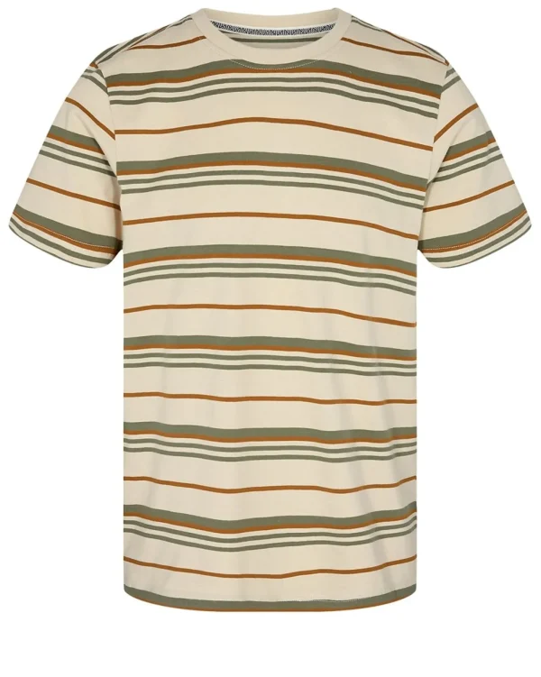 Mand Anerkjendt Akrod S/S Multi Stripe - Olivine